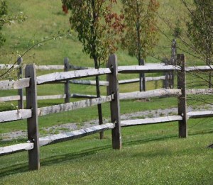 wood fence in field